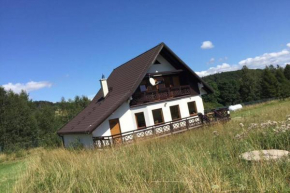 Holiday villa in giant mountains SW Poland